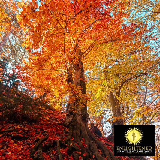 Autumn Attunement : Chakra Energy